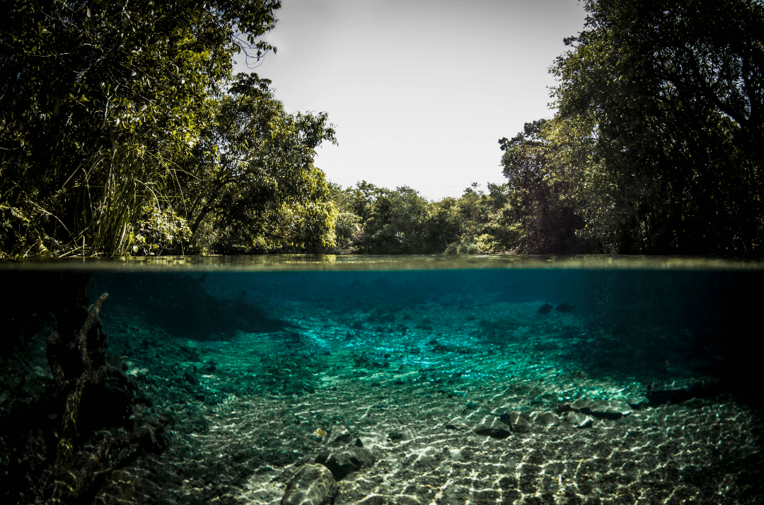 uso consciente da agua