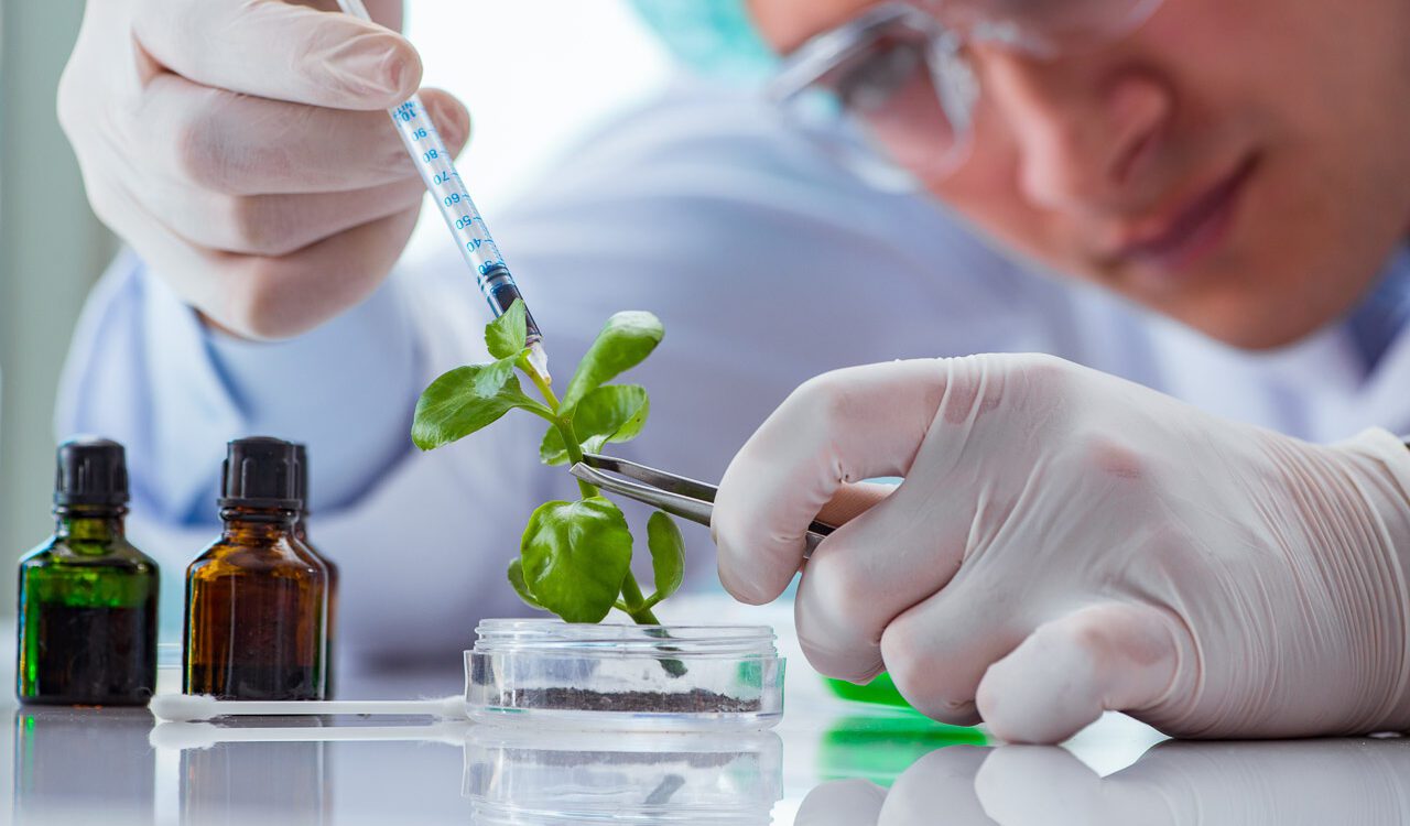 Biotechnology scientist working in the lab