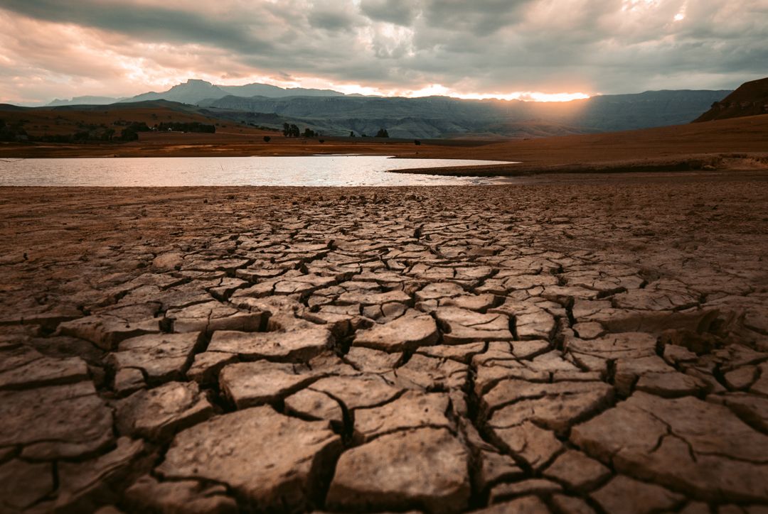 açoes climaticas