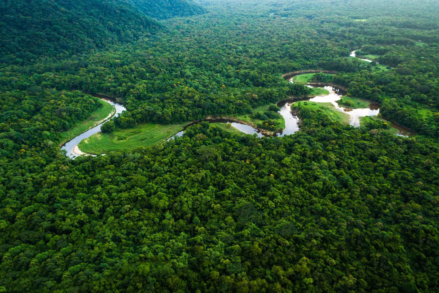 floresta-amazônia